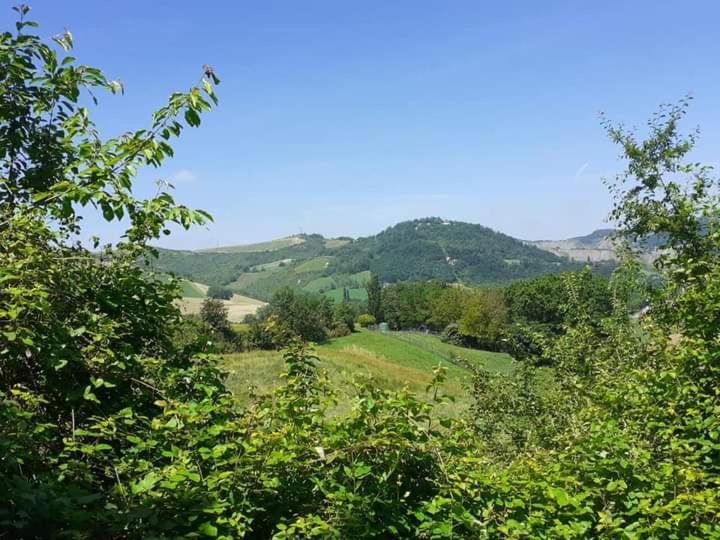 오짜노 델 에밀리아 Ai Boschi 아파트 외부 사진